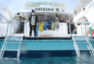  hacia adelante para la aventura de la caída 